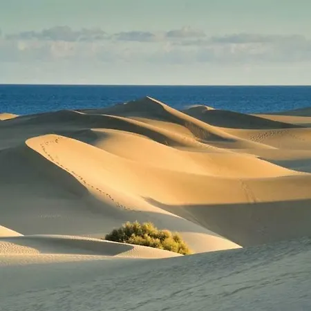 Teror Playa Lejlighed