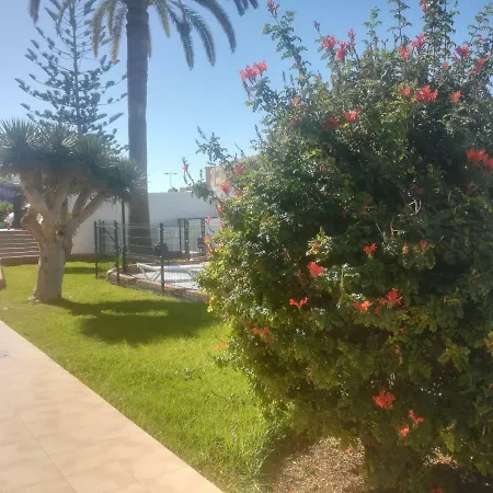 Апартаменти Teror Playa Плайя-дель-Інглес