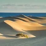 Teror Playa Daire