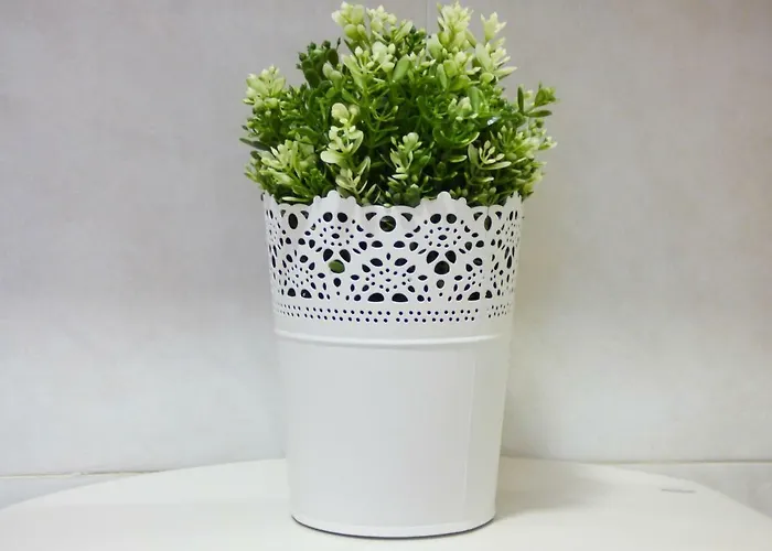 Teror Playa Apartman *